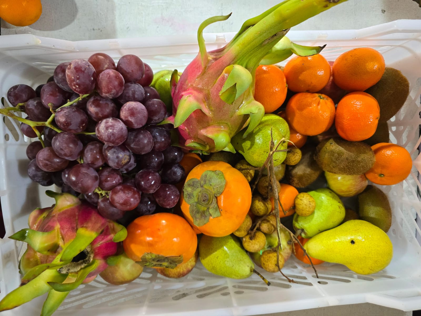 Fresh fruits wholesale supplier