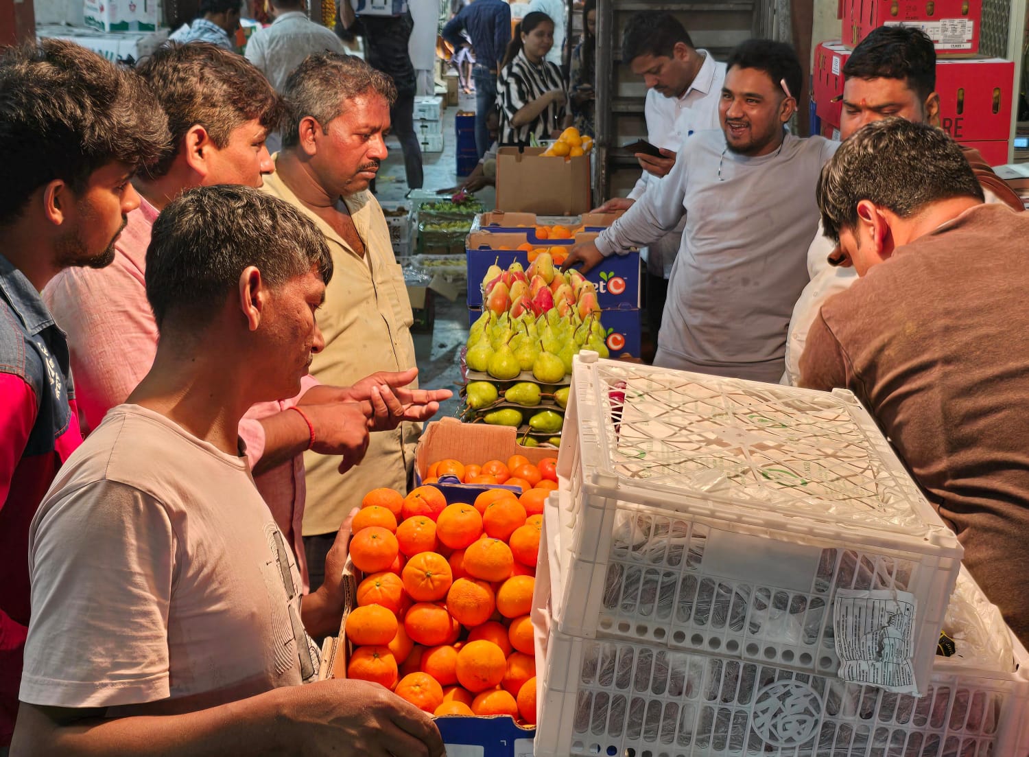 Fresh fruits wholesale supplier