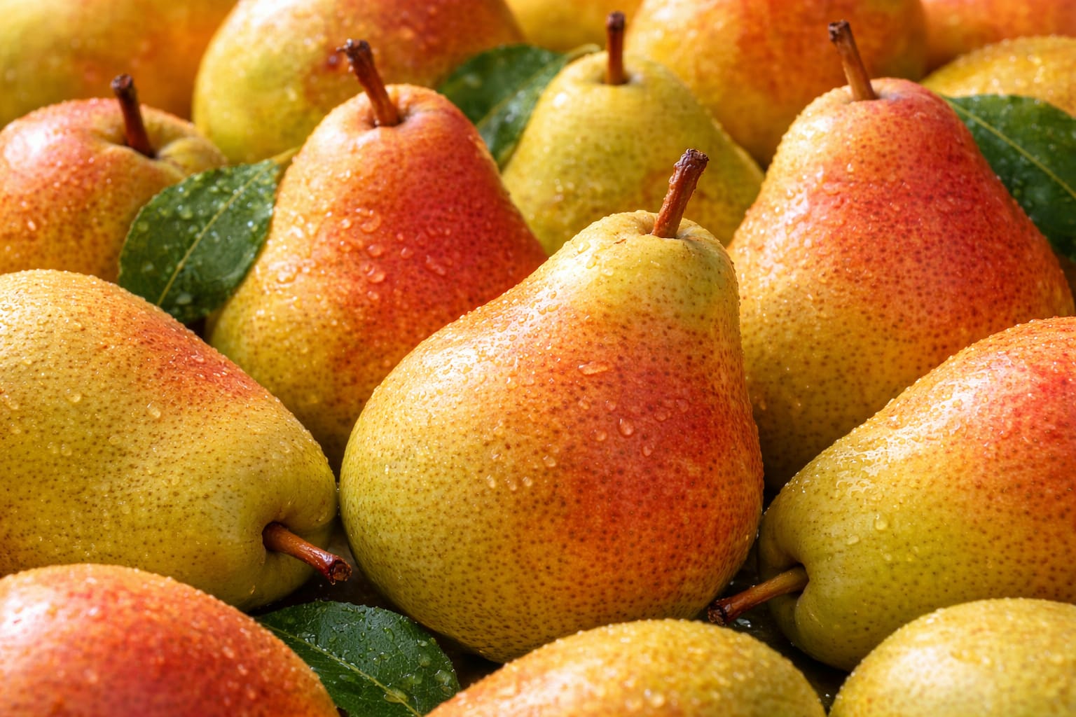 Fresh Red Pear for wholesale